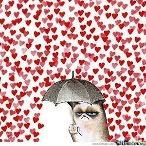 Meet your Posher, Jenn